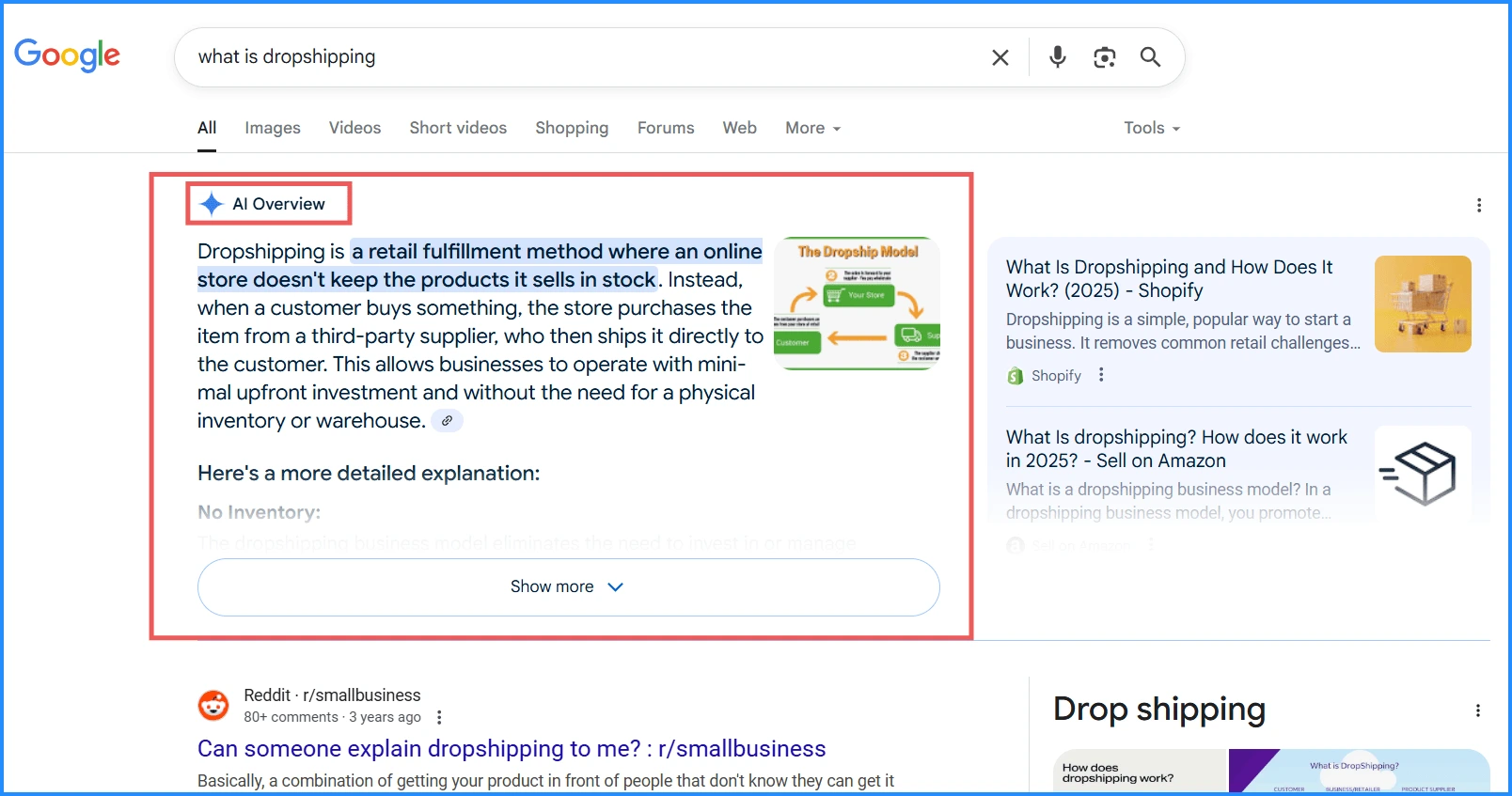 google-ai-overview-on-dropshipping-search-query-serp-example