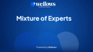 mixture-of-experts