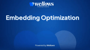 embedding-optimization