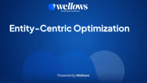 entity-centric- optimization