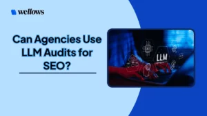 agency-using-llm-audits-for-seo-analysis-and-ai-search-optimization