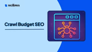 crawl-budget-seo
