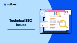 Technical Seo Issues 300x169